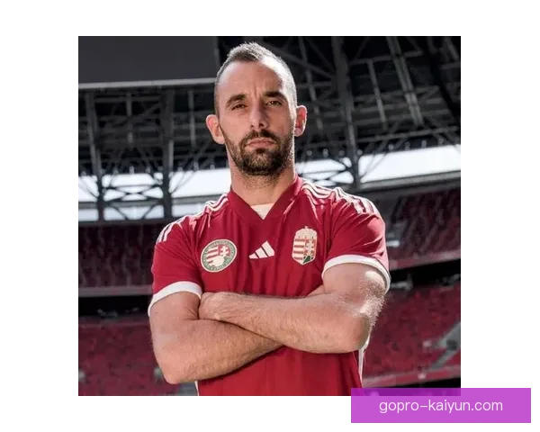 爱尔兰主帅近期状态回暖，带队备受期待的表现持续提升